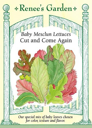 RG Lettuces Baby Mesclun